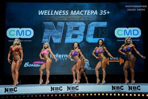 WELLNESS МАСТЕРА +35